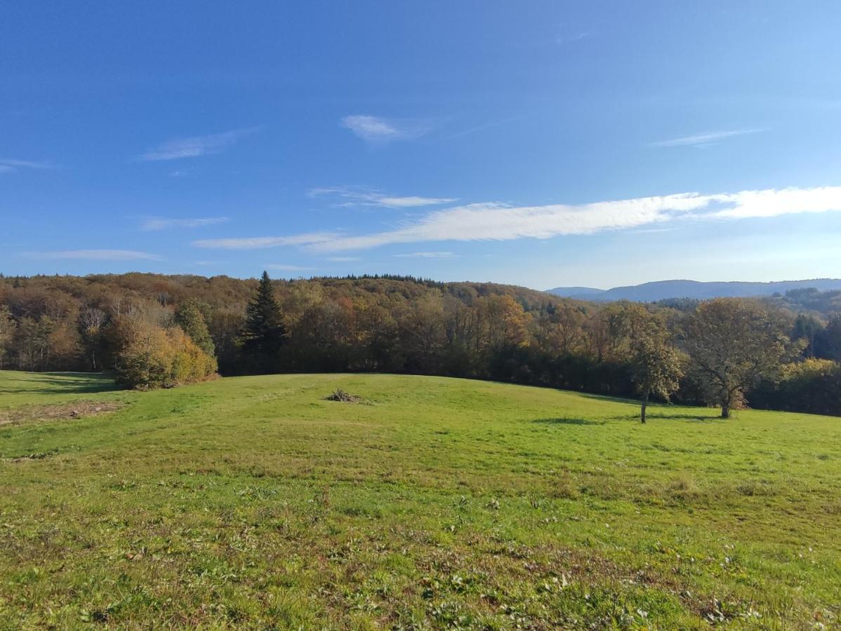 Gite Des Prary Des Mille Etangs Ternuay-Melay-et-Saint-Hilaire Exterior foto