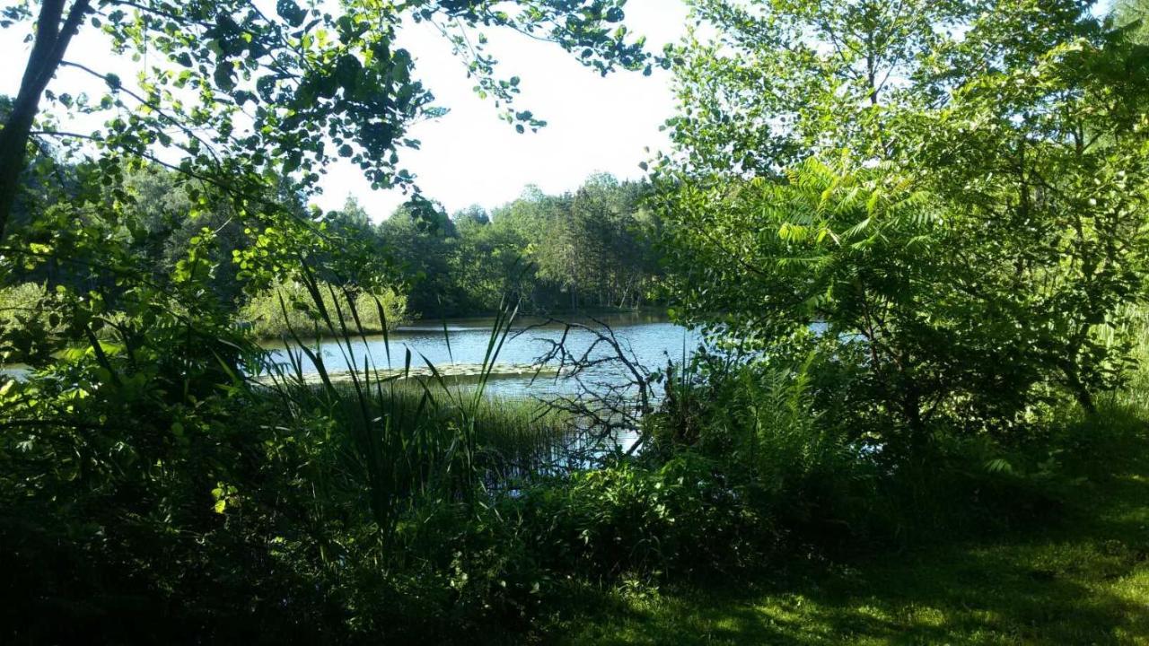 Gite Des Prary Des Mille Etangs Ternuay-Melay-et-Saint-Hilaire Exterior foto